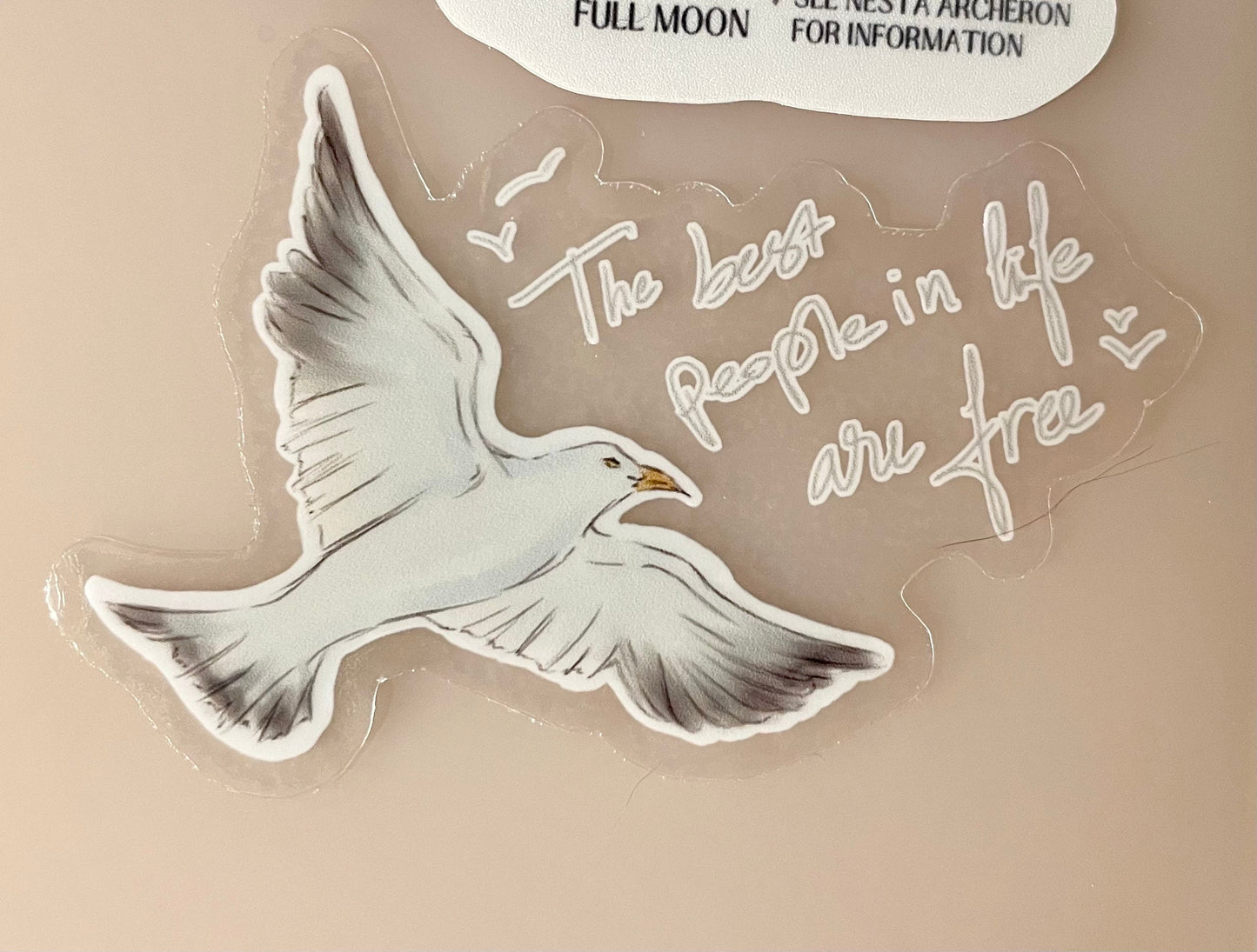 The Best People in Life Are Free Seagull Sticker | Taylor Swift Sticker | 1989 Taylor's Version Sticker